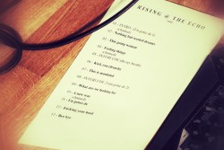 Setlist of "Rising @ The Echo" - 2016-03-08 - Photography by Fabien LE GUERN (Saint-Avé - FRANCE)
