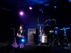 Humming bird at Jam session